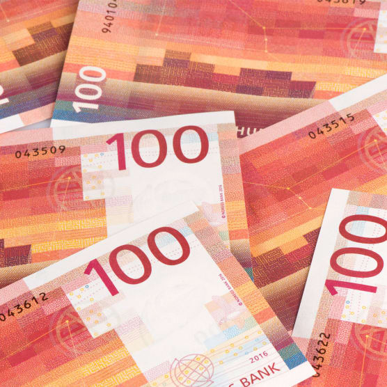 Noruega estrena nuevos billetes con diseño "pixelado" 