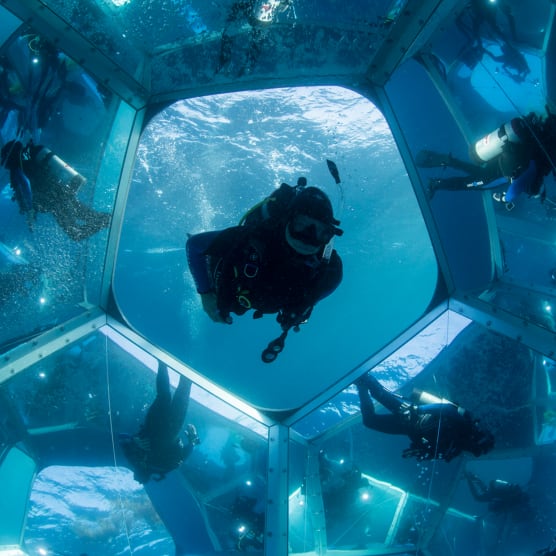 Caleidoscopios submarinos para salvar el océano 